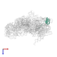 Small ribosomal subunit protein uS9 in PDB entry 5lms, assembly 1, top view.