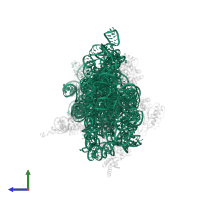 16S ribosomal RNA in PDB entry 5lmt, assembly 1, side view.