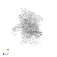 Small ribosomal subunit protein uS10 in PDB entry 5lmv, assembly 1, side view.