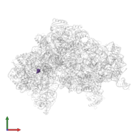 Modified residue 5MU in PDB entry 5lmv, assembly 1, front view.