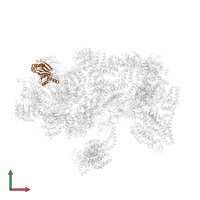 Proteasome subunit beta type-6 in PDB entry 5ln3, assembly 1, front view.
