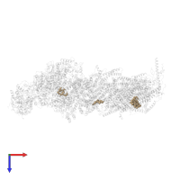 CARDIOLIPIN in PDB entry 5lnk, assembly 1, top view.