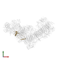 NADH dehydrogenase [ubiquinone] iron-sulfur protein 8, mitochondrial in PDB entry 5lnk, assembly 1, front view.