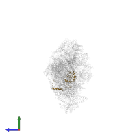 NADH dehydrogenase [ubiquinone] iron-sulfur protein 8, mitochondrial in PDB entry 5lnk, assembly 1, side view.