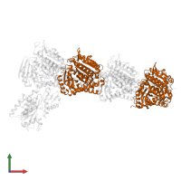Tubulin beta-2B chain in PDB entry 5lp6, assembly 1, front view.