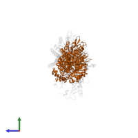 Tubulin beta-2B chain in PDB entry 5lp6, assembly 1, side view.
