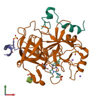 PDB entry 5lpd coloured by chain, front view.