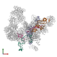 Hetero 31-meric assembly 1 of PDB entry 5lqw coloured by chemically distinct molecules, front view.