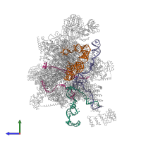 Hetero 31-meric assembly 1 of PDB entry 5lqw coloured by chemically distinct molecules, side view.