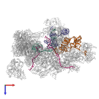 Hetero 31-meric assembly 1 of PDB entry 5lqw coloured by chemically distinct molecules, top view.