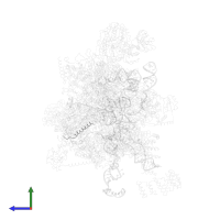 Pre-mRNA-splicing factor CWC26 in PDB entry 5lqw, assembly 1, side view.