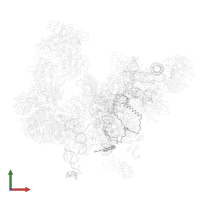 Pre-mRNA-processing protein 45 in PDB entry 5lqw, assembly 1, front view.