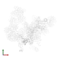 Pre-mRNA leakage protein 1 in PDB entry 5lqw, assembly 1, front view.