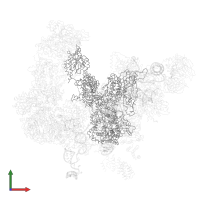 Pre-mRNA-splicing factor 8 in PDB entry 5lqw, assembly 1, front view.