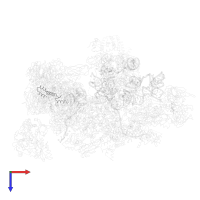 RDS3 complex subunit 10 in PDB entry 5lqw, assembly 1, top view.