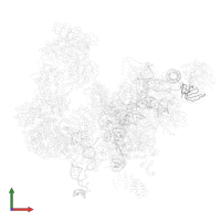 Small nuclear ribonucleoprotein-associated protein B in PDB entry 5lqw, assembly 1, front view.