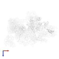 Small nuclear ribonucleoprotein Sm D3 in PDB entry 5lqw, assembly 1, top view.