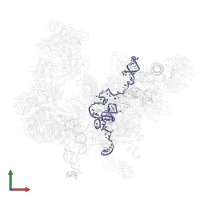 U6 snRNA in PDB entry 5lqw, assembly 1, front view.
