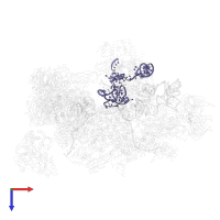 U6 snRNA in PDB entry 5lqw, assembly 1, top view.