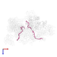 actin pre-mRNA in PDB entry 5lqw, assembly 1, top view.