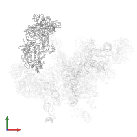 Pre-mRNA-splicing helicase BRR2 in PDB entry 5lqw, assembly 1, front view.