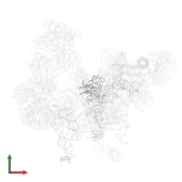 Pre-mRNA-splicing factor CWC2 in PDB entry 5lqw, assembly 1, front view.