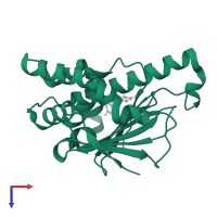 Heat shock protein HSP 90-alpha in PDB entry 5lr1, assembly 1, top view.