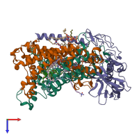 PDB entry 5lri coloured by chain, top view.
