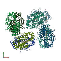 PDB entry 5lrr coloured by chain, front view.