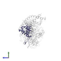 Polycomb protein SUZ12 in PDB entry 5ls6, assembly 1, side view.