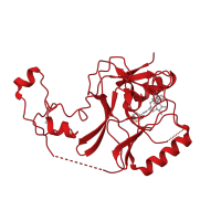 The deposited structure of PDB entry 5lsx contains 1 copy of CATH domain 2.170.270.10 (Beta-clip-like) in Histone-lysine N-methyltransferase SETD2. Showing 1 copy in chain A.