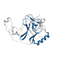 The deposited structure of PDB entry 5lsx contains 1 copy of Pfam domain PF00856 (SET domain) in Histone-lysine N-methyltransferase SETD2. Showing 1 copy in chain A.