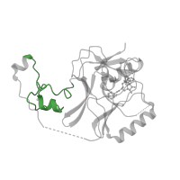 The deposited structure of PDB entry 5lsx contains 1 copy of Pfam domain PF17907 (AWS domain) in Histone-lysine N-methyltransferase SETD2. Showing 1 copy in chain A.