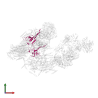 Cytochrome c1, heme protein, mitochondrial in PDB entry 5luf, assembly 1, front view.