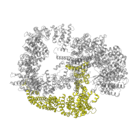 The deposited structure of PDB entry 5luq contains 2 copies of Pfam domain PF20502 (DNA-dependent protein kinase catalytic subunit, CC1/2) in DNA-dependent protein kinase catalytic subunit. Showing 1 copy in chain A.