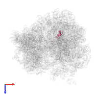 Large ribosomal subunit protein eL42A in PDB entry 5lyb, assembly 2, top view.