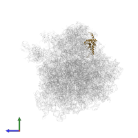 Small ribosomal subunit protein uS7 in PDB entry 5lyb, assembly 2, side view.