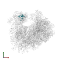 40S Ribosomal Protein S12 in PDB entry 5lyb, assembly 2, front view.