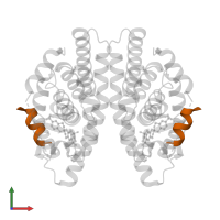 Nuclear receptor coactivator 2 in PDB entry 5lyq, assembly 1, front view.
