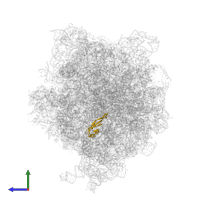 Large ribosomal subunit protein uL22 in PDB entry 5lzd, assembly 1, side view.