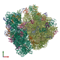 Hetero 57-meric assembly 1 of PDB entry 5lze coloured by chemically distinct molecules, front view.