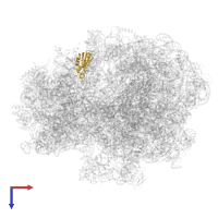 Small ribosomal subunit protein uS11 in PDB entry 5lze, assembly 1, top view.
