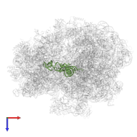 tRNAfMet in PDB entry 5lze, assembly 1, top view.