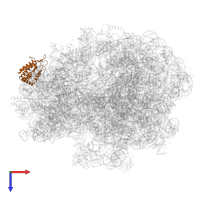 Small ribosomal subunit protein uS2 in PDB entry 5lze, assembly 1, top view.