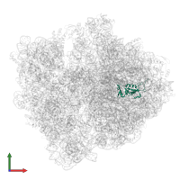 Large ribosomal subunit protein uL13 in PDB entry 5lze, assembly 1, front view.