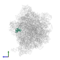 Large ribosomal subunit protein uL13 in PDB entry 5lze, assembly 1, side view.