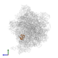 Large ribosomal subunit protein uL14 in PDB entry 5lze, assembly 1, side view.