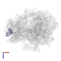 Small ribosomal subunit protein uS3 in PDB entry 5lze, assembly 1, top view.