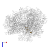 Large ribosomal subunit protein bL19 in PDB entry 5lze, assembly 1, top view.