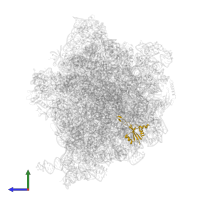 Large ribosomal subunit protein uL23 in PDB entry 5lze, assembly 1, side view.